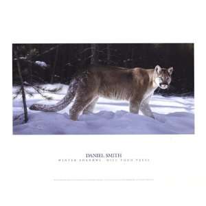 Daniel Smith   Winter Shadows by Daniel Smith 16x12  