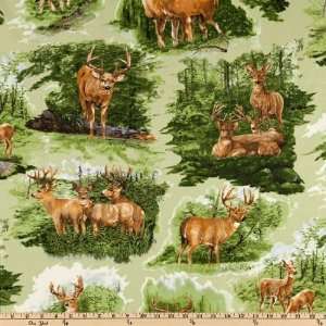  44 Wide Whitetail Valley Deer Scenic White Fabric By The 