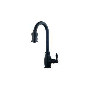  Danze D454557BS Kitchen Faucet