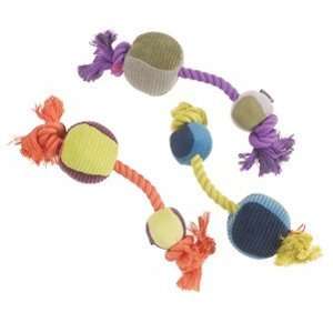  PURINA Engage Me Dog Toy Fun on a Rope