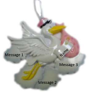 Personalized Pelican Bird Mail Holiday Gift Expertly Handwritten 