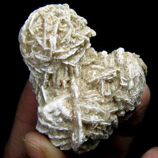 Gypsum Crystal Desert Rose Specimen gygx9ie1666  