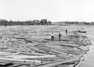 Northern Michigan Lumberjacks Logging Logs 1910  