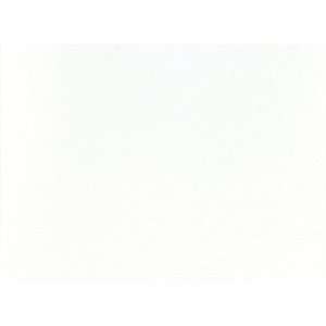   Gibson Box of 20 Informal Note Cards, White (C81N 3)