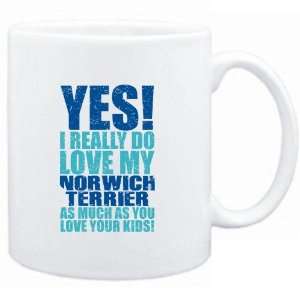    YES I REALLY DO LOVE MY Norwich Terrier  Dogs