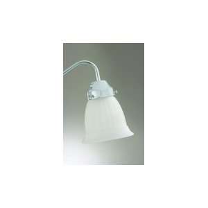   House GL764 Glass Accessory with White Frost glass