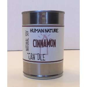  Cinnamon Tin Candle