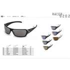   grey Temples / Brushed Frame / Grey outdoor Lenses, Sunglasses