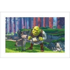  Shrek and Donkey in the Woods   Shrek   DreamWorks Ani 