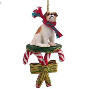  Jack Russell Terrier Brown Smooth Dog Candy Cane Christmas 