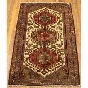    3x5 Hand Knotted Hamedan Persian Rug   55x34