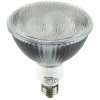 Philips Licht DOWNL ES 8YR20W Energiesparlampe 20W E27 230V warmton ws 