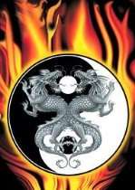 Wand Tattoos   Drachen   Yin Yang Poster