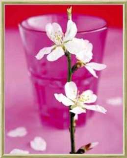 Kunstdruck Poster Amélie Vuillon Almond Tree Flower  
