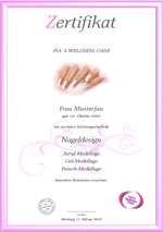 FERNSCHULUNG NAGELMODELLAGE*FUSSPFLEGE*& 2 DVDs & CDs*  