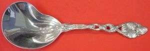 STRAWBERRY VINE BY TIFFANY & CO. STERLING CONCH SPOON 9 1/2  