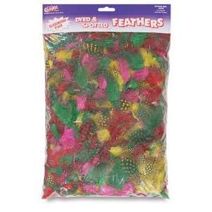 Spotted Guinea Feathers   Classpack, 2 Bags of Approximately 750 1000 