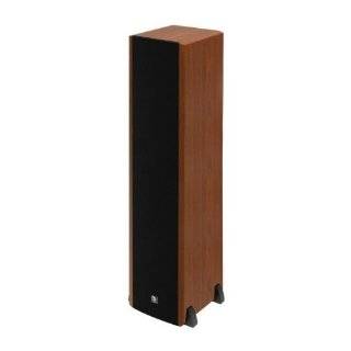 Boston Acoustics VS Series VS336BM Floorstanding Speaker (Black/Birds 