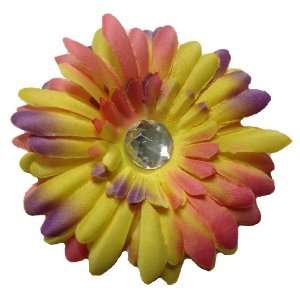  Yellow Rainbow 4 Large Gerbera Daisy Flower Hair Clip 