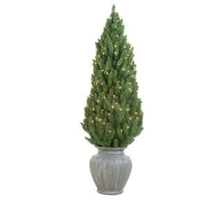  5 Foot Pre Lit Potted Caf? Spruce Tree