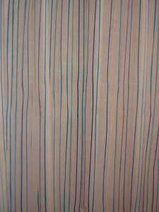 Home Blue Stripe Shower Curtain 72 x 72 100% Peva NIP  