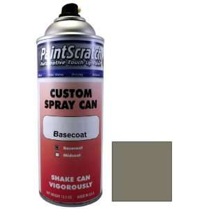  12.5 Oz. Spray Can of Gray Metallic (matt) Touch Up Paint 