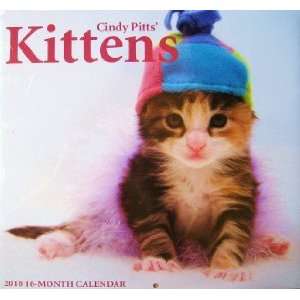   Kittens 16 Month Wall Calendar Kitten Cat Cats NEW