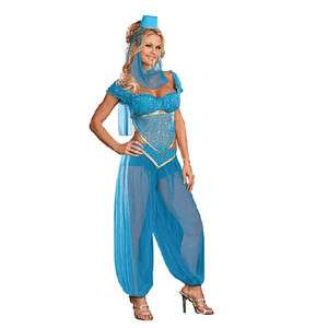 ARABIAN NIGHTS Fancy Dress COSTUME Womens Adult Princess Jasmine 2 4 6 
