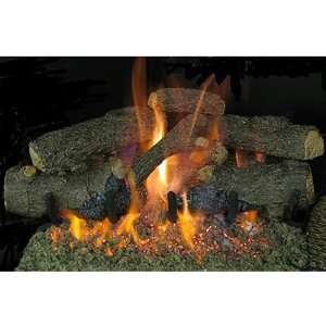   Charred Vented Natural Gas Log Set W/ G4 Burner   Match Light Home