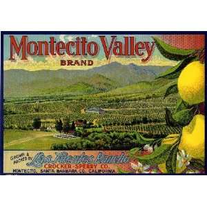  Montecito Valley Lemon Citrus Fruit Crate Box Label Art 