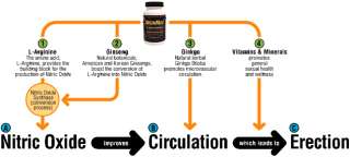 arousal process the body naturally produces nitric oxide n o a potent 