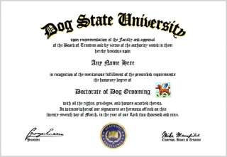 Dog Grooming Diploma   Dog Groomer Lover Diploma  