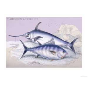   Bonito and Swordfish Giclee Poster Print by Robert Hamilton, 12x16