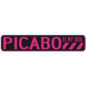   PICABO IS MY IDOL  STREET SIGN