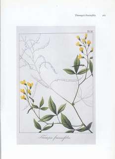 Set of *16* JOSEPH PRESTELE botanical prints FLOWERING PLANTS  