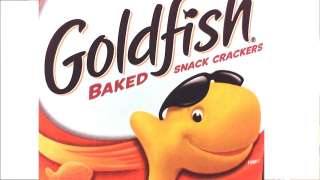 Pepperidge Farms Goldfish Crackers 16 Flavor Choices  
