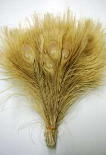 50 Pcs BLEACHED PEACOCK TAILS Feathers 10 12 Crafts  