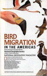 National Geographic Map American BIRD MIGRATION ROUTES  