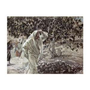  Accursed Fig Tree Giclee Poster Print by James Tissot 