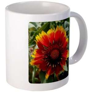  Mug (Coffee Drink Cup) Blanket Flower (like Daisy or 