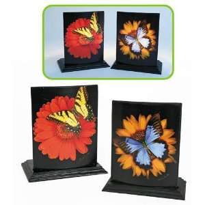  Butterfly Glass Candle Holder 2 Styles Case Pack 4 