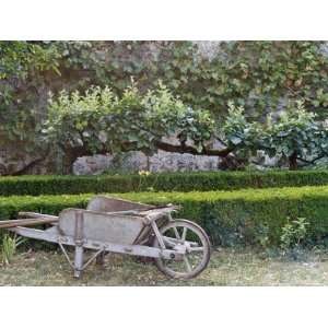 Wooden Barrow Against Low Clipped Box Hedges with Pleached Apple Trees 