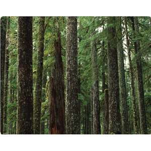  Evergreen Forest skin for DSi Video Games