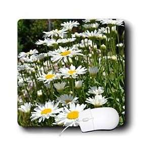  Patricia Sanders Flowers   Daisies in a Field   Mouse Pads 