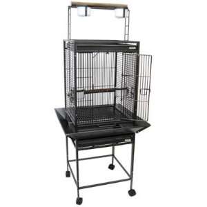 Brand New Parrot Bird Wrought Iron Cage Cages w/ Parrot 