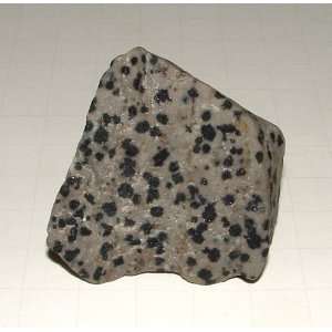  Dalmation Jasper Specimen 