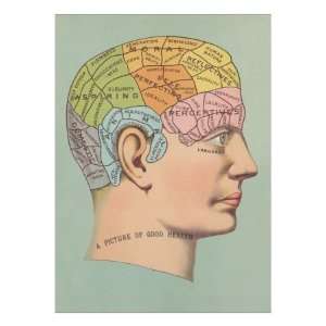  Phrenology Chart of Head Giclee Poster Print, 24x32