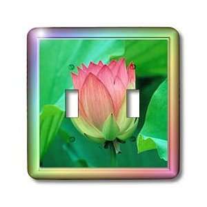 Susan Brown Designs Flower Themes   Lotus Flower   Light Switch Covers 