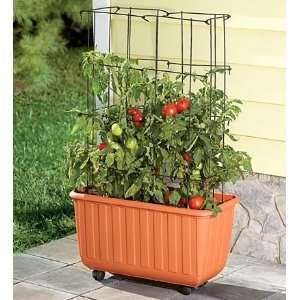   Self Watering Tomato Planter with Metal Trellis Patio, Lawn & Garden