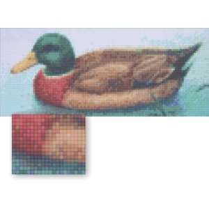  PixelHobby Mallard Duck Mini Mosaic Kit 